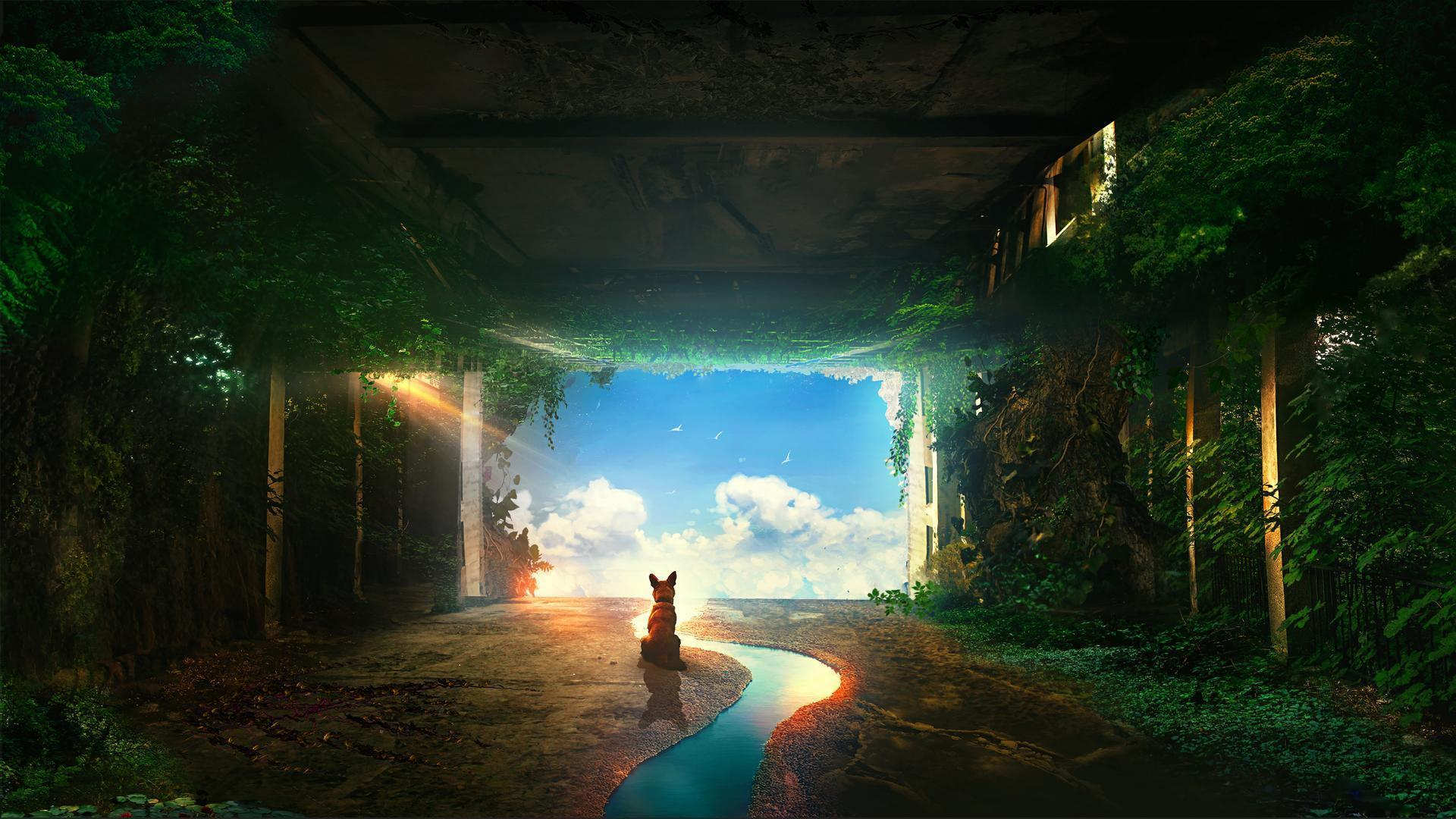 page banner image